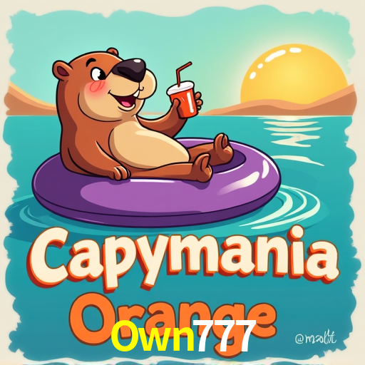 PIX Instantâneo Own777