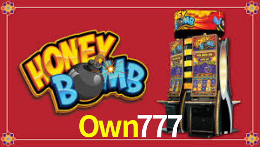 Own777: Seu Especialista em Apostas Esportivas Brasileiras